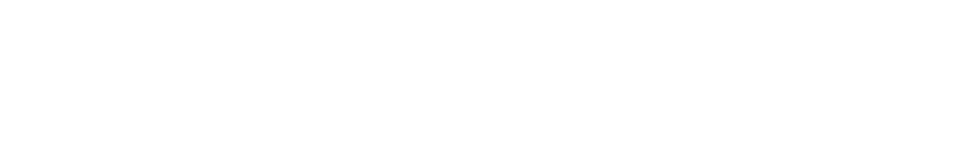 The Action Group